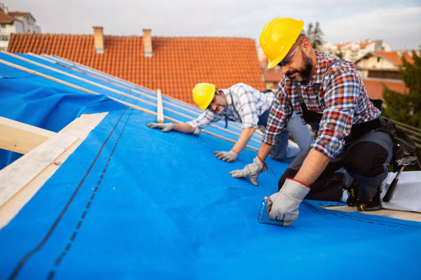 Best Metal Roofing Installation  in Greenfield, IL