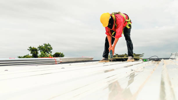 Best Roof Coating and Sealing  in Greenfield, IL