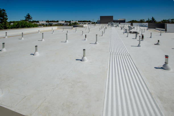 Best Roof Insulation Installation  in Greenfield, IL