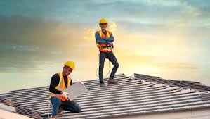 Best Roof Moss and Algae Removal  in Greenfield, IL